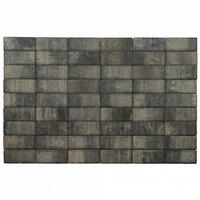  Брусчатка Braer Прямоугольник (кирпичик) ColorMix 200х100х60 мм цвет Вечер: внешний вид